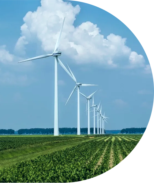 Image Green Investment