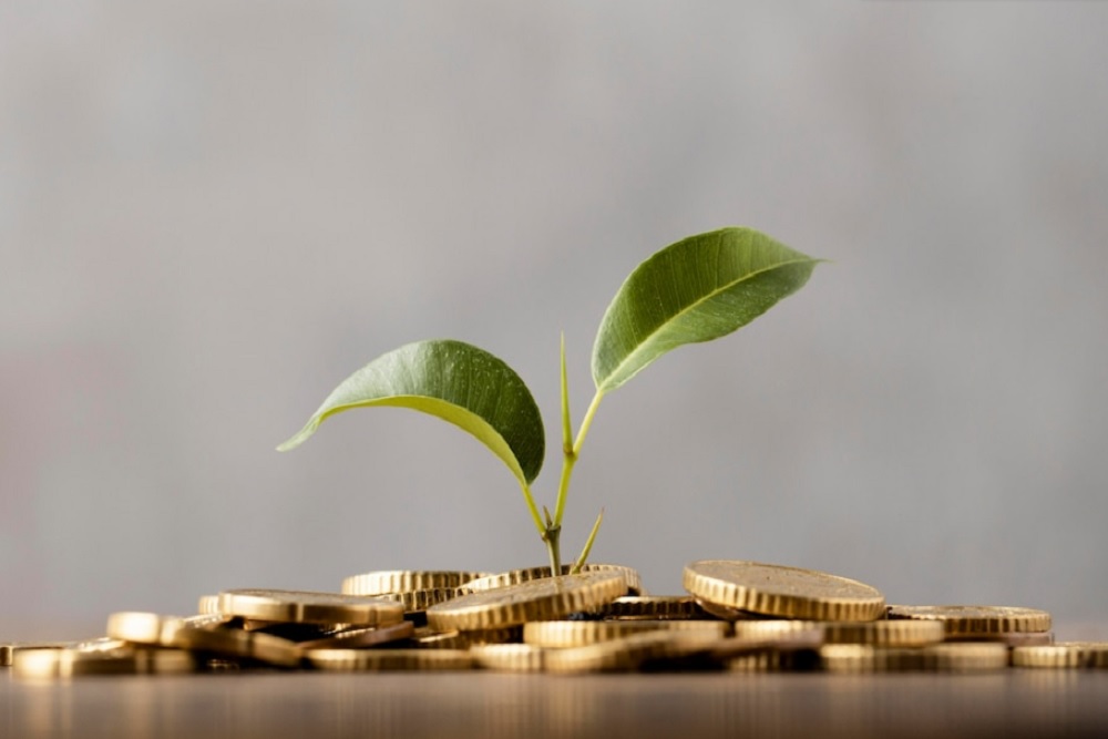 648aaf520cd7700cfcc3a9a9_tips-investasi